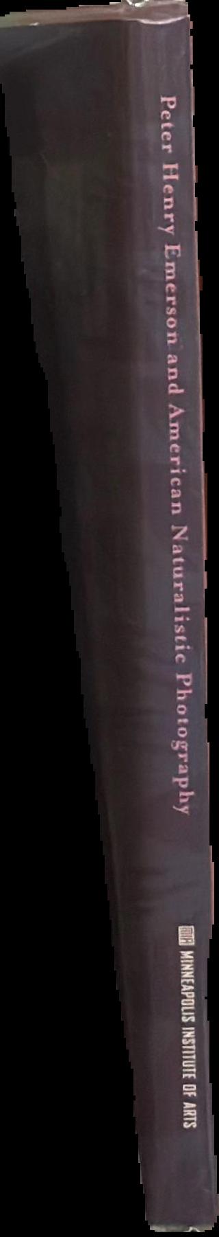 After the Photo-Secession : American pictorial photography, 1910–1955 live spine