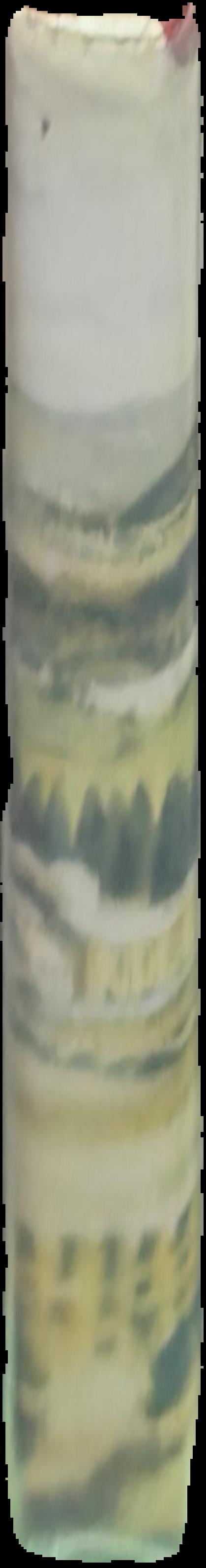 Glenorchy 1804-1964 live spine