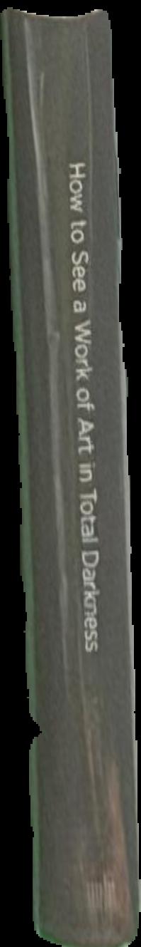 How to see a work of art in total darkness live spine