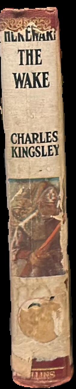 Hereward the wake live spine