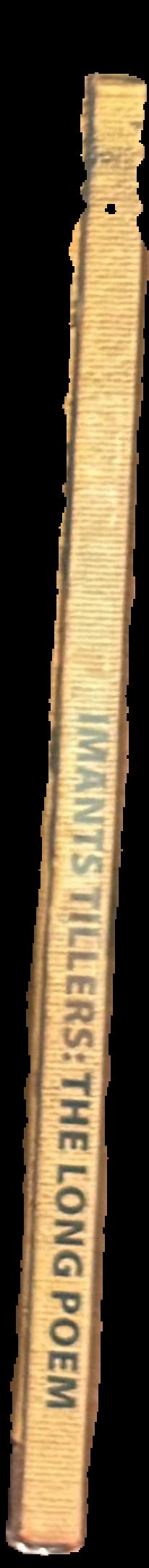Imants Tillers : the long poem live spine
