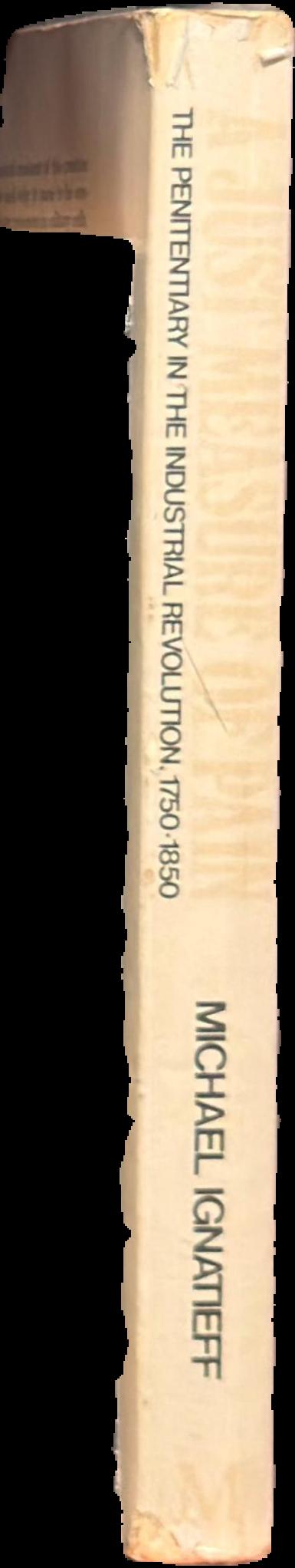A just measure of pain : the penitentiary in the industrial revolution, 1750–1850 live spine