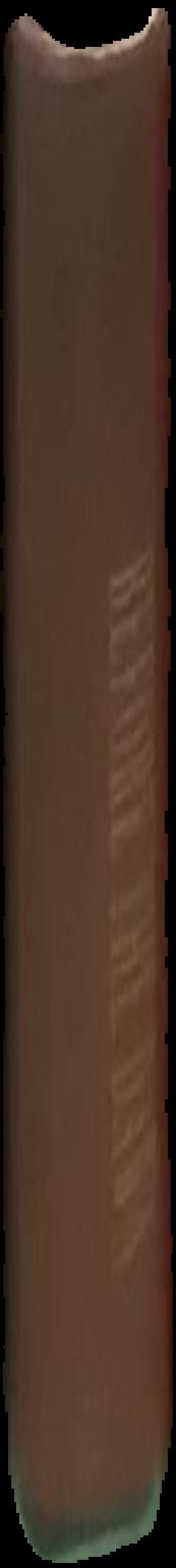 Beyond the dark veil : post-mortem and mourning photography from the Thanatos Archive / [editor, Sue Henger] live spine