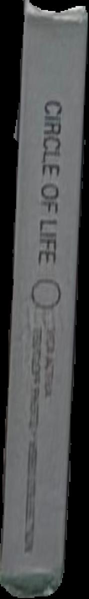 Circle of life : vita activa, the human image in contemporary photography : a selection by Dr Andreas Beitin, ZKM, from the Teutloff Photo   Video Collection live spine