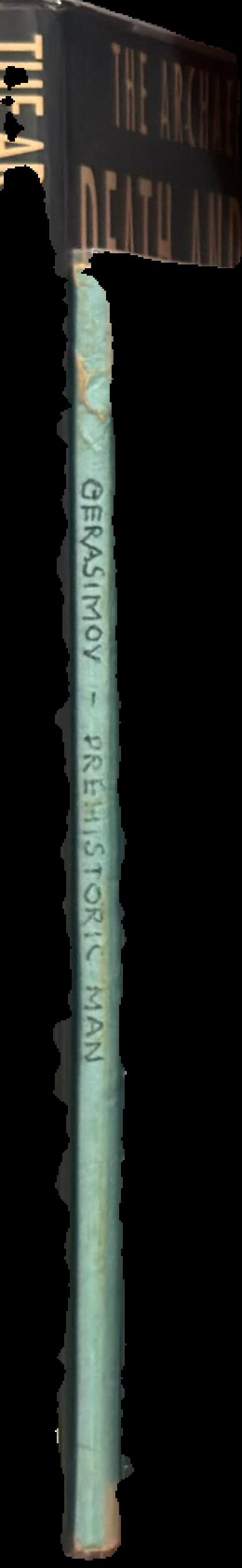 Prehistoric man, his industry and the environment in the pleistocene and holocene live spine