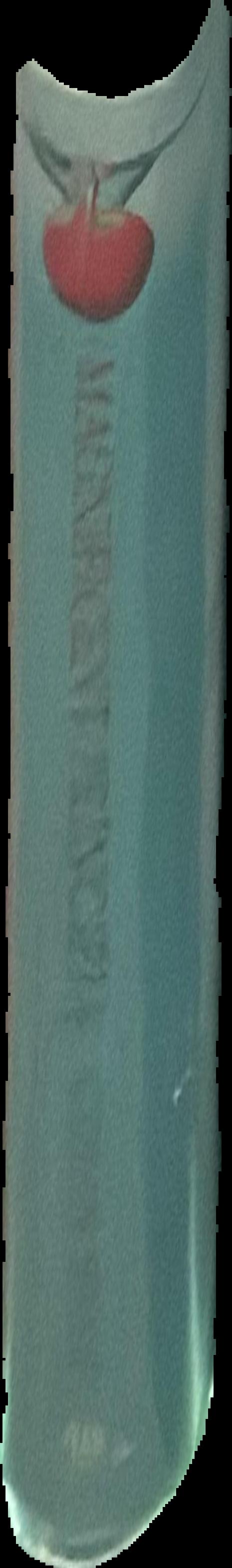 Magnificent Principia : exploring Isaac Newton's masterpiece live spine