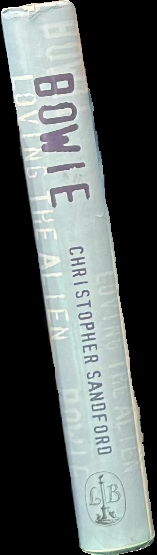 Bowie : loving the alien live spine