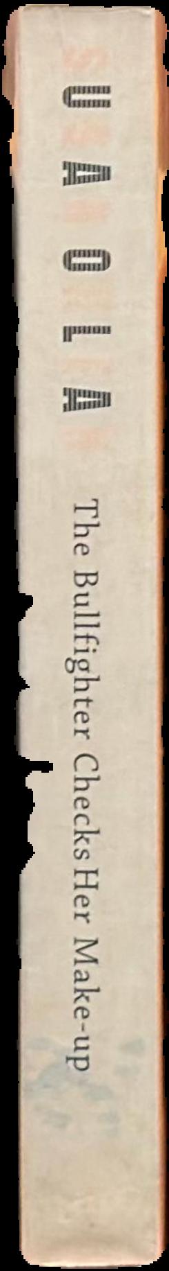 The bullfighter checks her makeup : encounters with clowns, kings, singers and surfers - not to mention a dog / Susan Orlean live spine