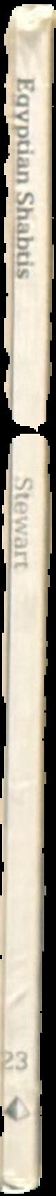 Egyptian shabtis live spine