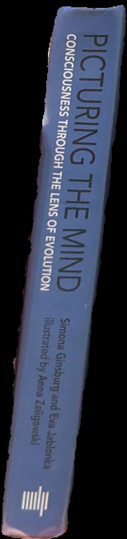 Picturing the mind : consciousness through the lens of evolution live spine