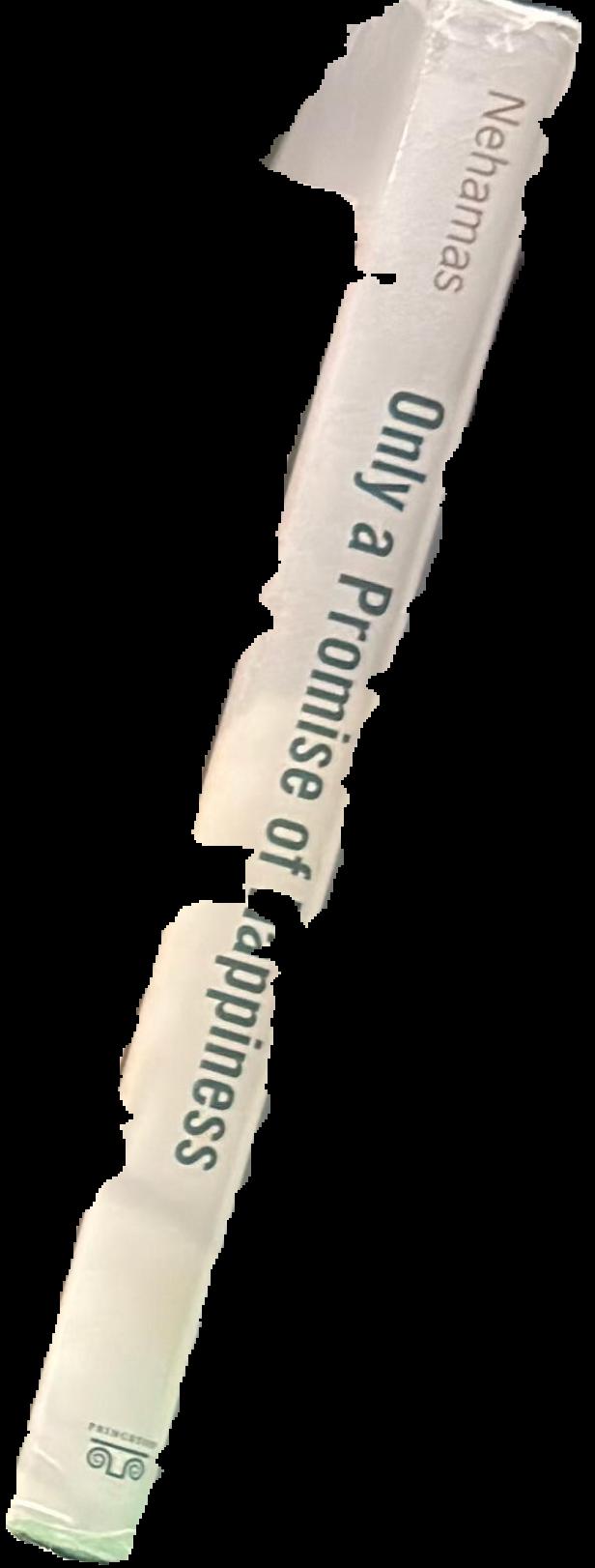 Only a promise of happiness : the place of beauty in a world of art live spine