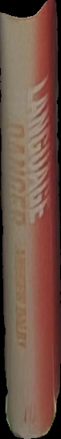 Language in danger : how language loss threatens our future live spine