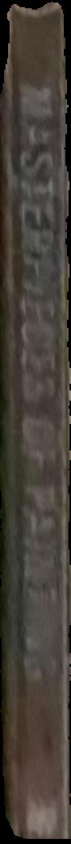A matter of taste live spine