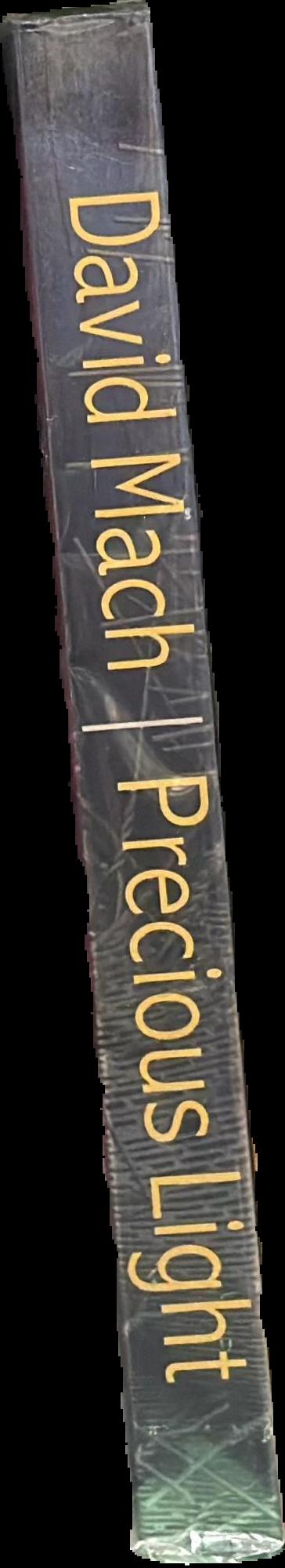 Precious light : King James bible, a celebration 1611-2011 live spine