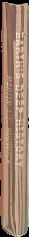 World history : a concise thematic analysis I / Steven Wallech [and 6 others] live spine