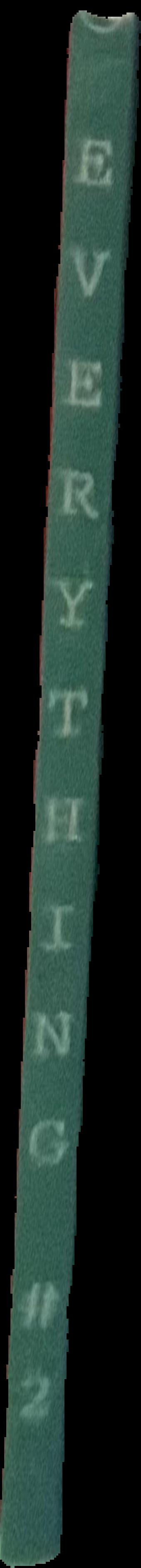 The Museum of Everything : everything #2 live spine