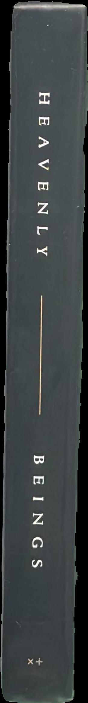 Eikon : icons of the orthodox Christian world live spine