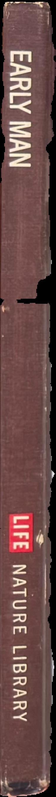 Early man live spine
