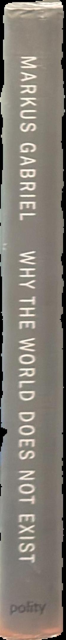 Why the world does not exist / Markus Gabriel, translated by  Gregory S. Moss live spine