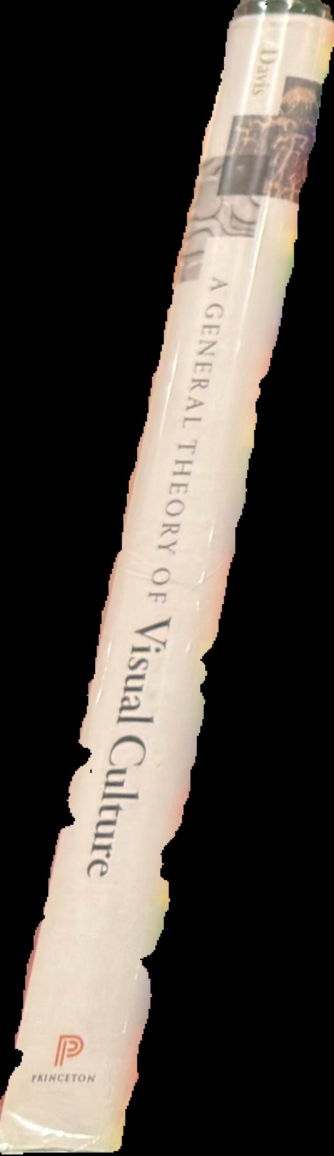 A general theory of visual culture live spine
