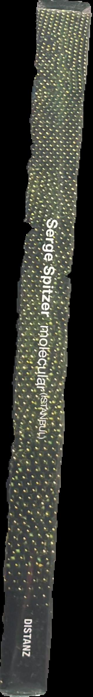 Serge Spitzer : molecular (Istanbul) live spine