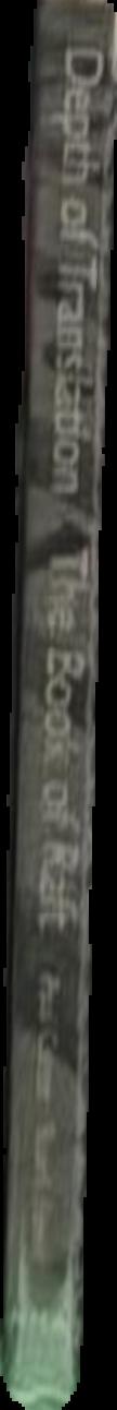 Depth of translation : the book of Raft live spine