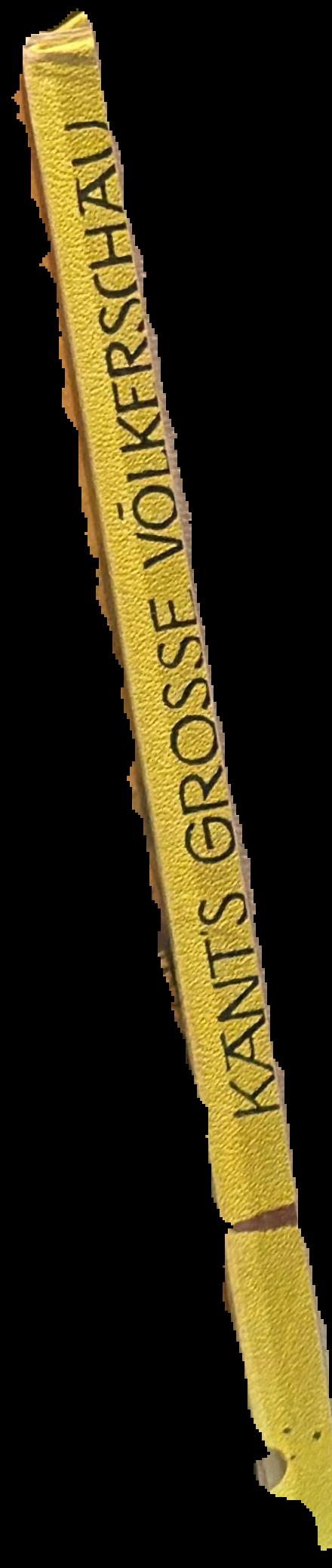 History of New South Wales from the records : volume II, Phillip and Grose, 1789-1794 live spine