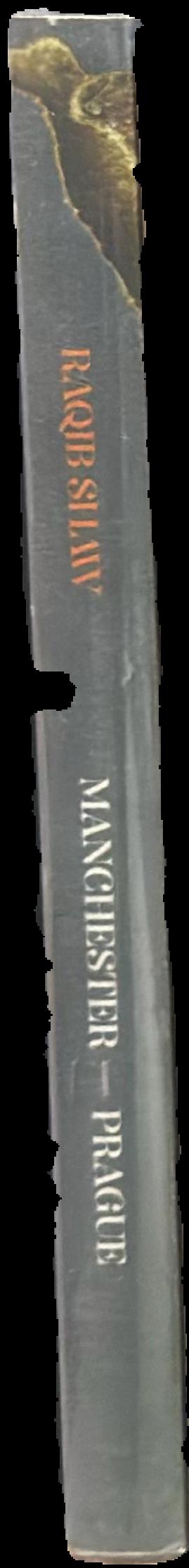 Raqib Shaw live spine