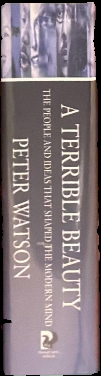 A terrible beauty : the people and ideas that shaped the modern mind : a history / Peter Watson live spine