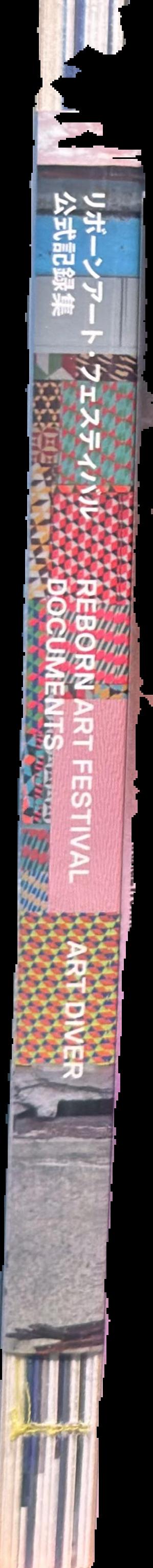 Reborn-Art Festival documents live spine
