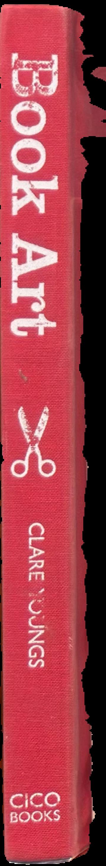 Book art : creative ideas to transform your books - decorations, stationery, display scenes, and more live spine
