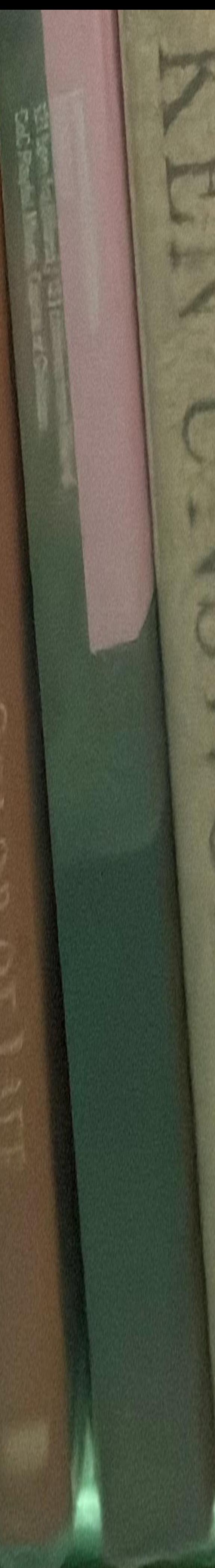 Drawing in silver and gold : Leonardo to Jasper Johns live spine
