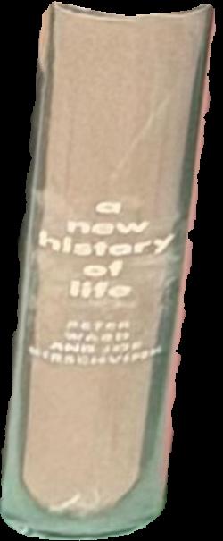 The history of now : the collection of David Tieger, sold to benefit Tieger Foundation for the support of contemporary art : auction in London, 5 October 2018 / Sotheby's live spine