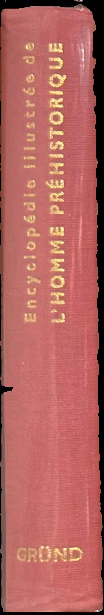 Encyclopédie illustrée de l’homme préhistorique live spine