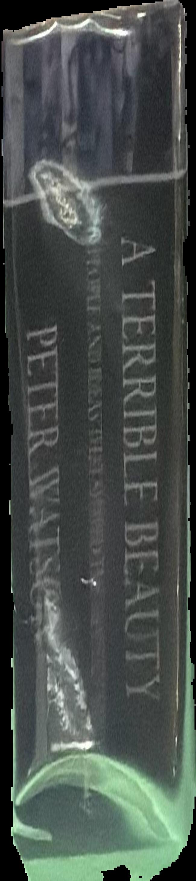A terrible beauty : the people and ideas that shaped the modern mind : a history live spine
