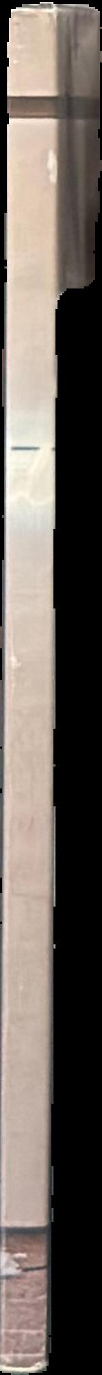 Bruce Nauman : neons live spine