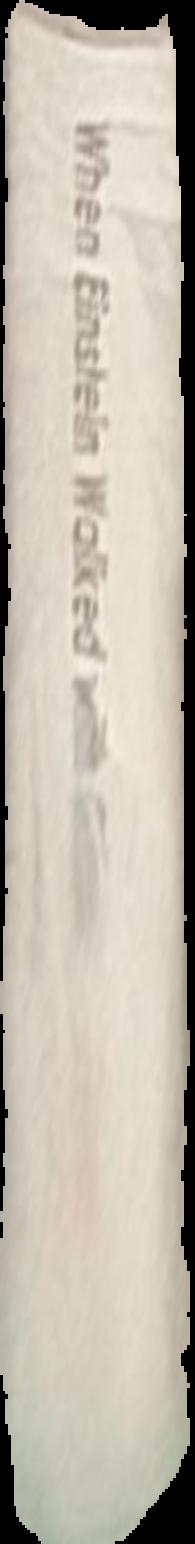 When Einstein walked with Gödel : excursions to the edge of thought / Jim Holt live spine
