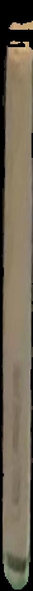 Five years of collecting Egyptian art : 1951-1956 : a catalogue of an exhibition held at The Brooklyn Museum : 11 December, 1956 to 17 March, 1957 live spine