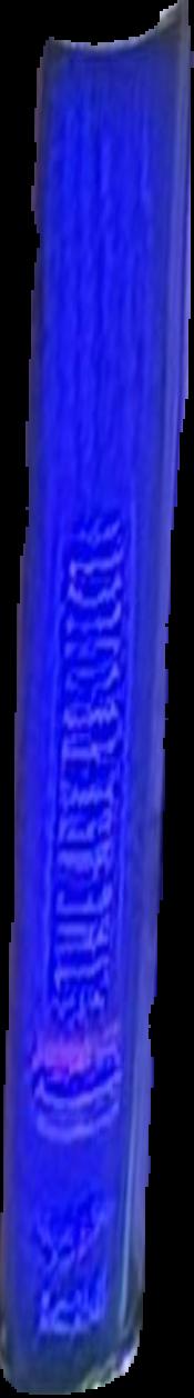 Copyright and cultural institutions : guidelines for digitisation live spine