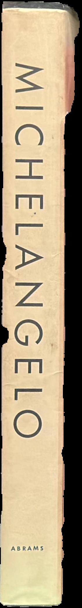Michelangelo : Michelangelo Buonarroti live spine