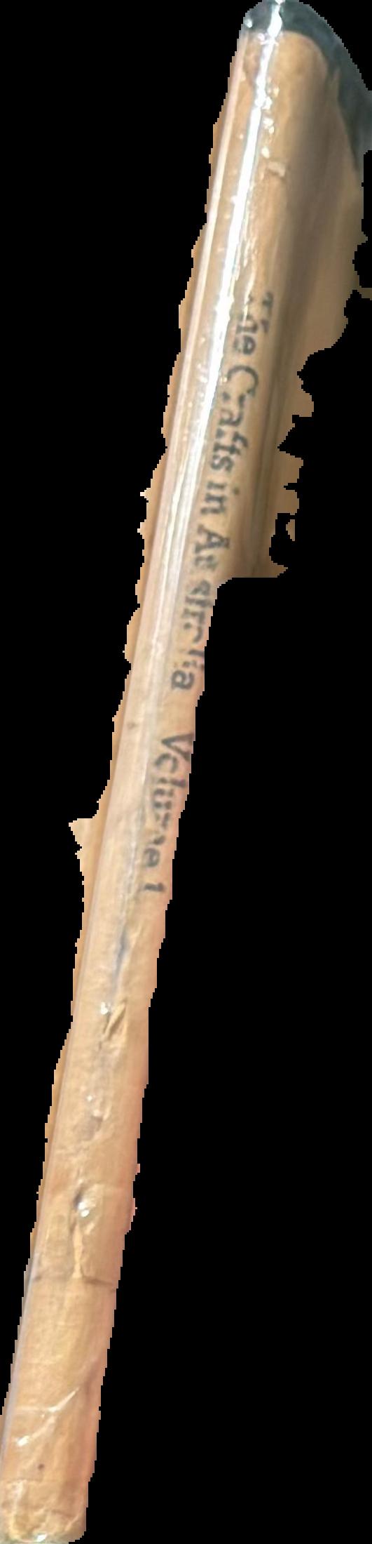 Fire and ice : a history of comets in art live spine