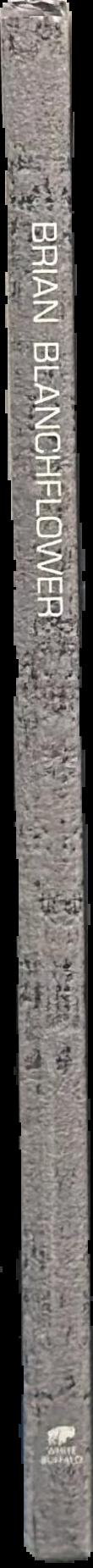 The moment of eclipse live spine