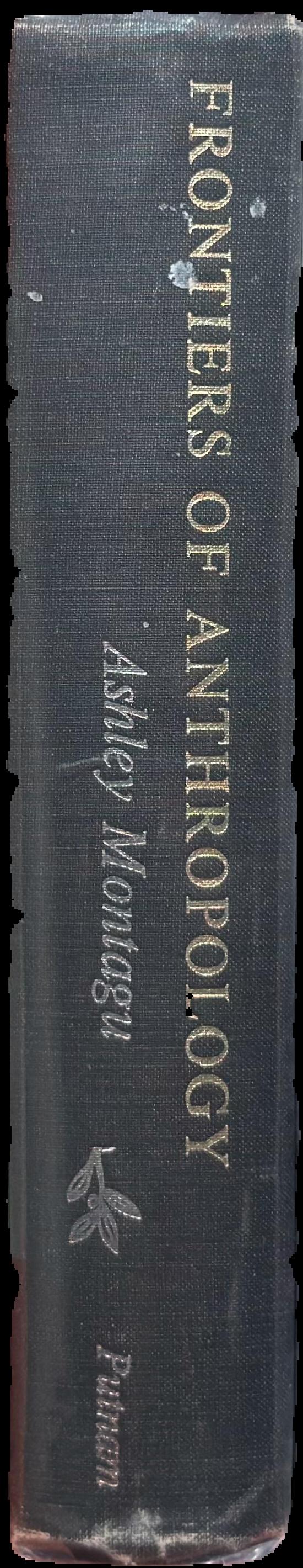 Frontiers of anthropology live spine