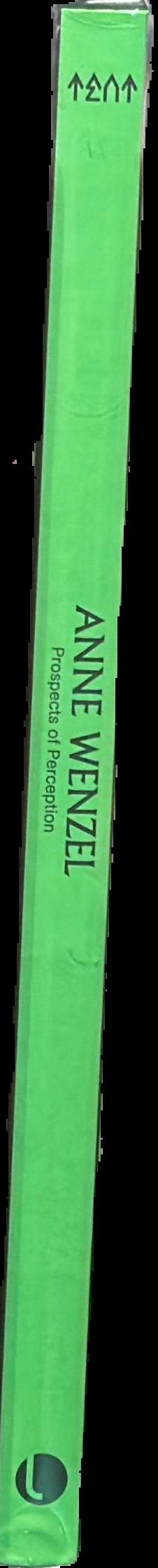 Anne Wenzel : prospects of perception live spine