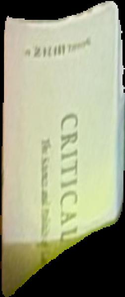 Contemporary art in Asia : a critical reader live spine