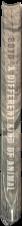 The creative lives of animals / Carol Gigliotti live spine