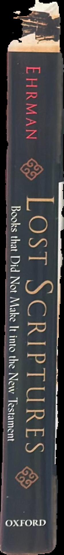 Lost scriptures : books that did not make it into the New Testament live spine