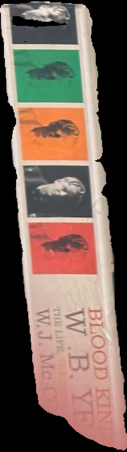 U2 : Live at Red Rocks : Under A Blood Red Sky live spine