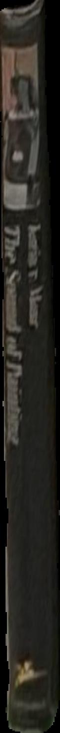 Religion, art and iconography : man and cosmos in prehispanic Mesoamerica live spine