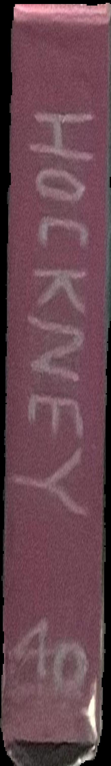David Hockney : a chronology live spine